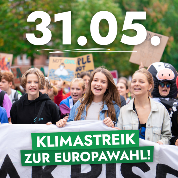 Klimastreik zur Europawahl 2024